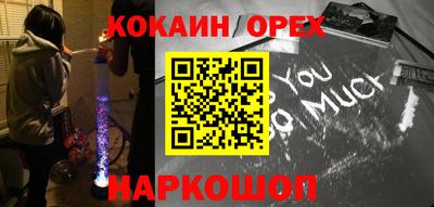 крисы Кунгур
