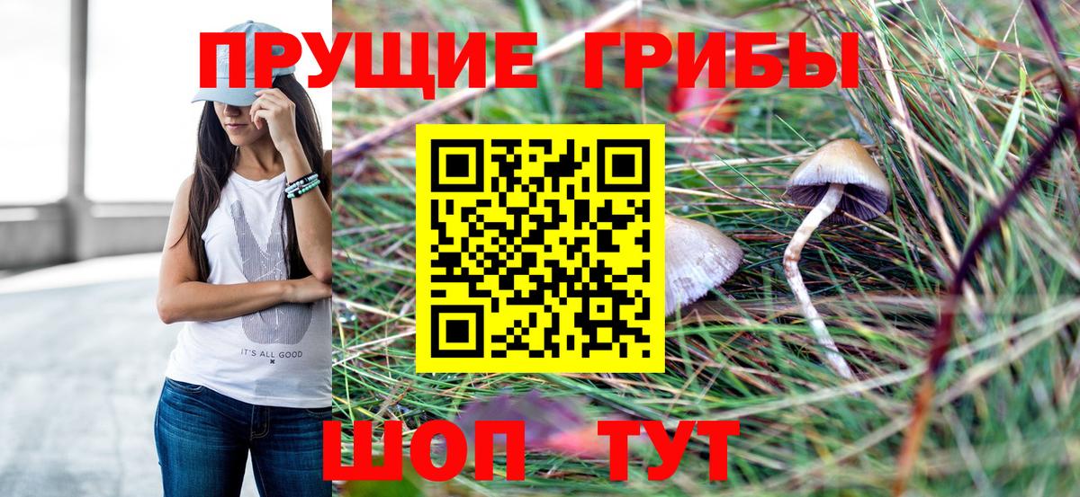 Псилоцибиновые грибы прущие грибы  Вход с VPN  где купить   Заводоуковск 